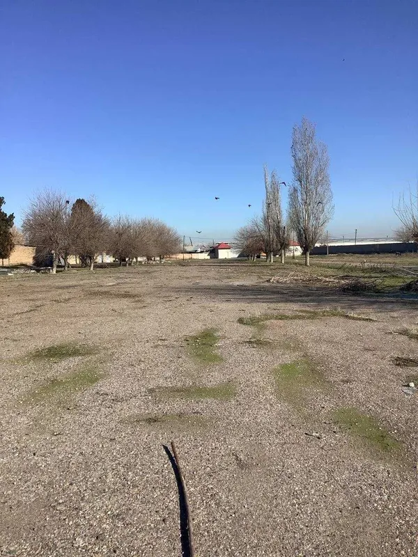 Срочно Продаётся база Уртачирчикский район пос Гулистон 3 гектара. 2