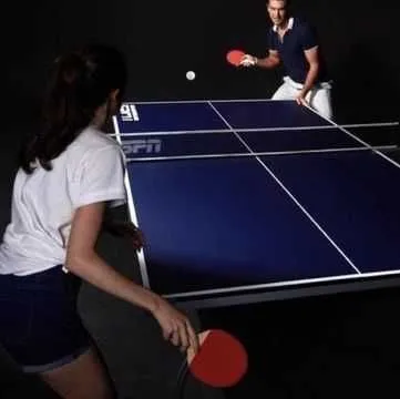 . Стол теннис stol tennis Ping Pong 1 — фото 1