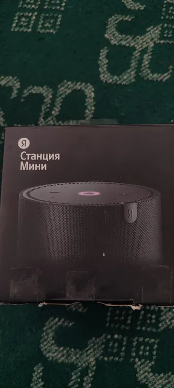 Stansiya mini (яндекс алиса) — фото 2