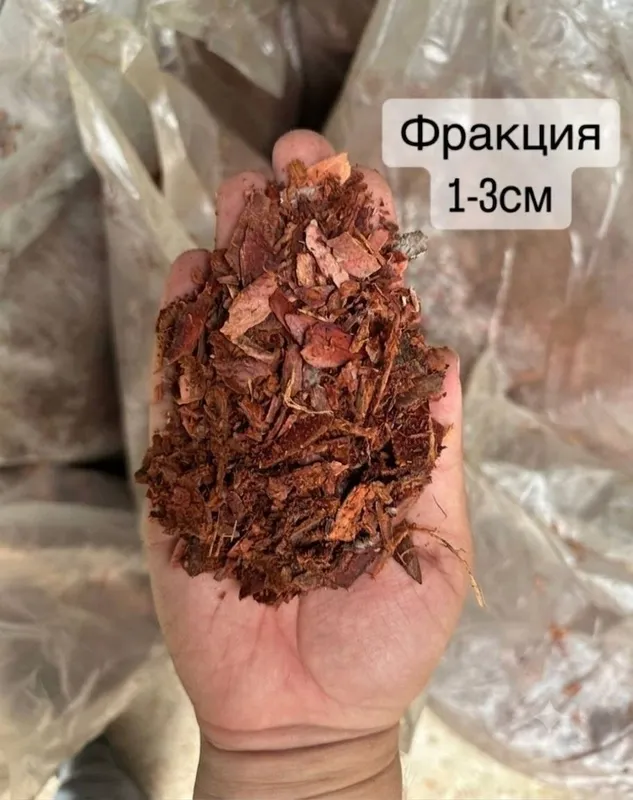 Кора лиственницы сибирской 3 Кора лиственницы сибирской 3