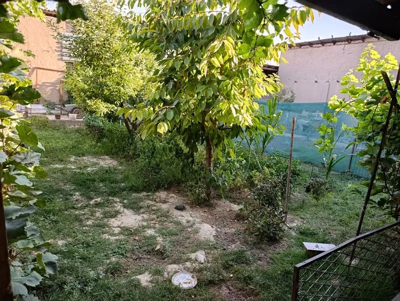 Yangi toshmi postidan 3 km kirganda oltin tepada uchastka yer narxida 5 Yangi toshmi postidan 3 km kirganda oltin tepada uchastka yer narxida 5