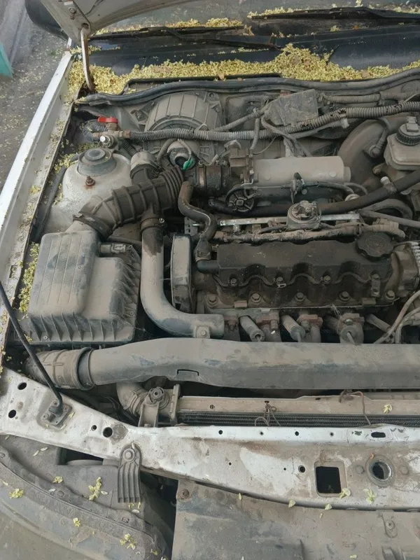 Eng oddiy Chevrolet Nexia sotiladi 1