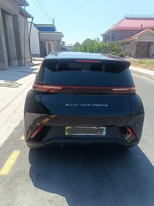 BYD Seaguli rassrochka nasiya 2 BYD Seaguli rassrochka nasiya 2