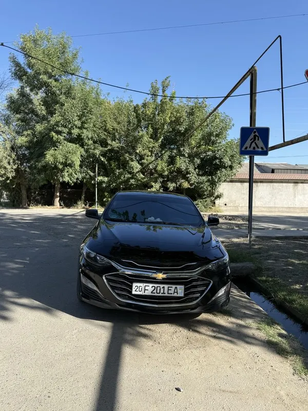 Malibu atmasferniy 2017 2 Malibu atmasferniy 2017 2