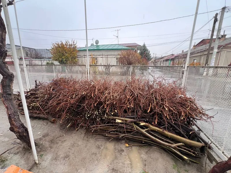 Дрова Хезум продаю