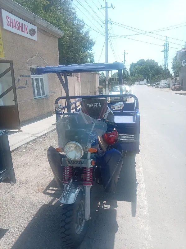 Муравей яакеда матор