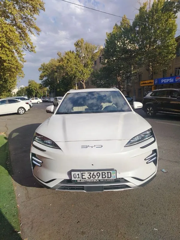 BYD Song Plus EV Champion2023 год