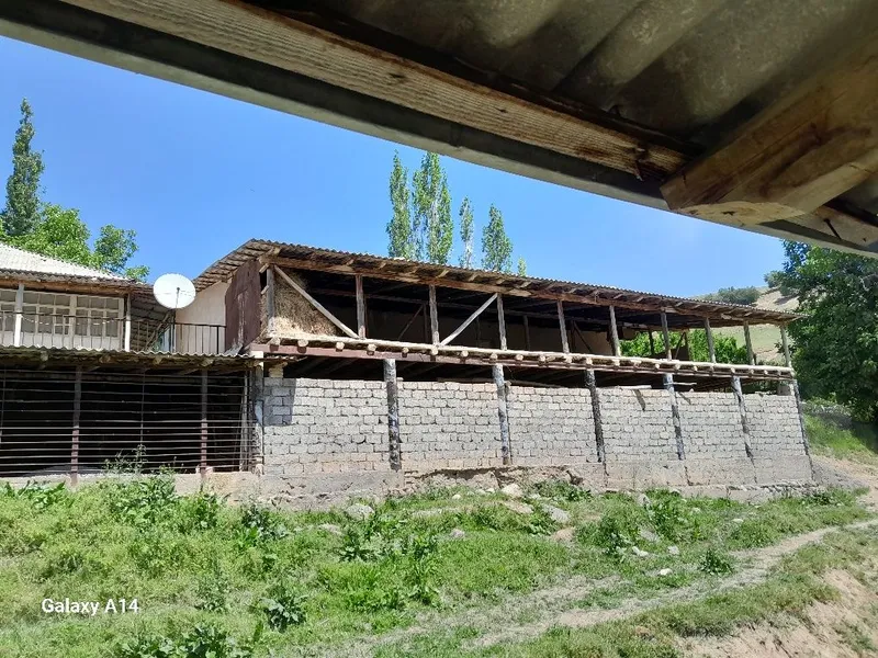 Галавасой паселкаси Тогизкол кучаси 8 чи уй котта ховли уй 24 сотик — фото 4