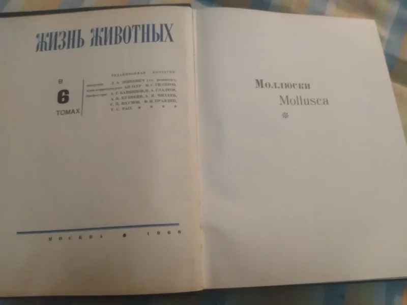 ЭНЦИКЛОПЕДИЯ ЖИЗНЬ ЖИВОТНЫХ МОЛЛЮСКИ 2ой ТОМ — фото 3 ЭНЦИКЛОПЕДИЯ ЖИЗНЬ ЖИВОТНЫХ МОЛЛЮСКИ 2ой ТОМ — фото 3