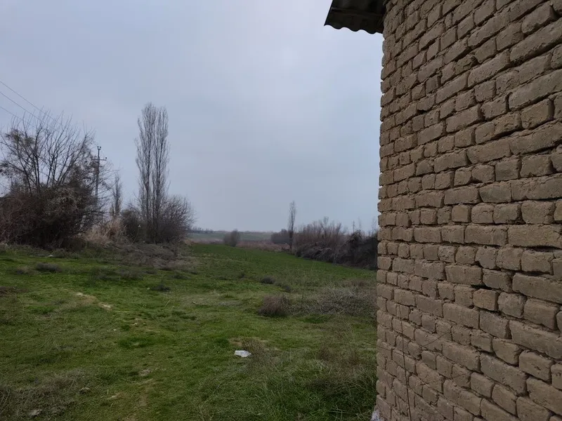 Тошкент вил, Бу́ка тумани Бу́ка мфй Худойкул кишлогида уй сотилади. — фото 2