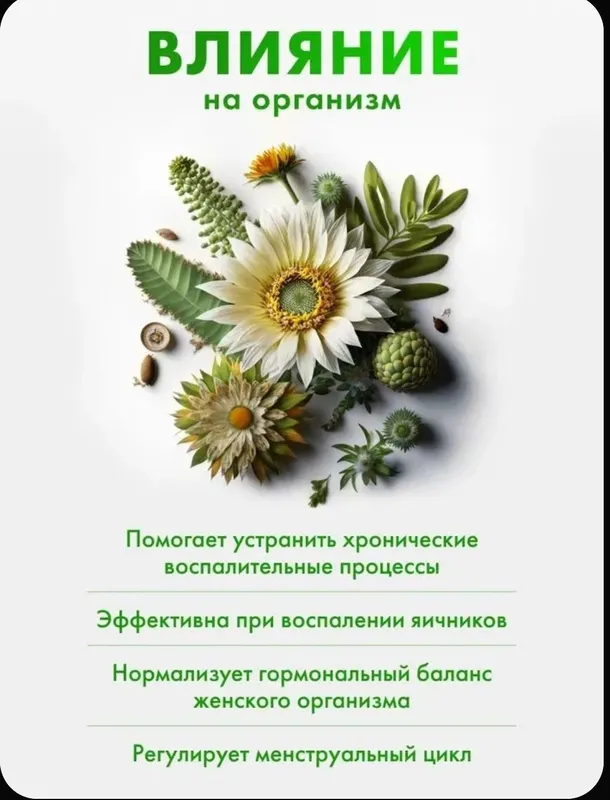 Barovaya matka Ayollar uchun taybiyy biologik aktiv qo'shimcha Rossiya 2 Barovaya matka Ayollar uchun taybiyy biologik aktiv qo'shimcha Rossiya 2