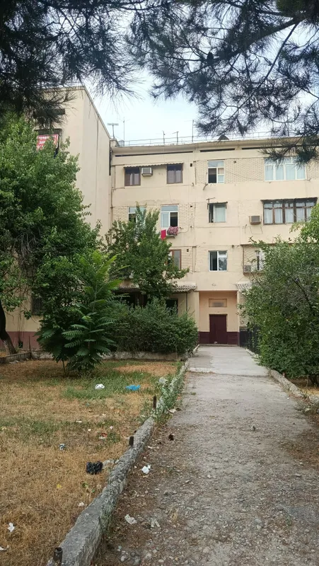 Algaritim 31 kv sarvar oldi 1 lina