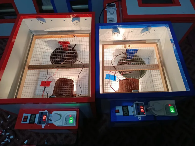Inkubator avtamat 12v/220v