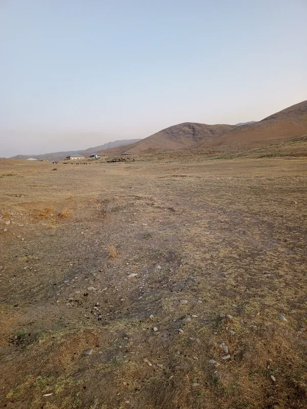 yer sotiladi sutigʻi 500 dollardan kelishamiz yana 3 yer sotiladi sutigʻi 500 dollardan kelishamiz yana 3
