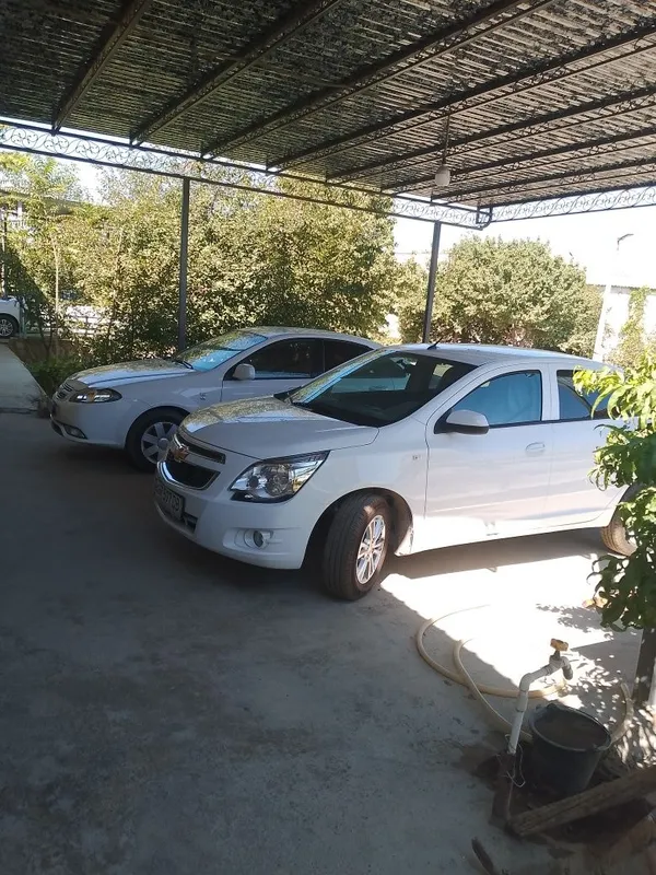 Kobalt mcm 2026 yangi 2