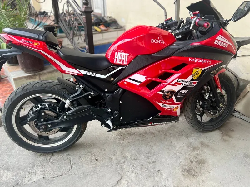 Electro Bike (MOTO)