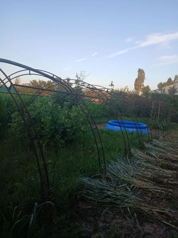 Parnik sotiladi 20×5 metr 1 Parnik sotiladi 20×5 metr 1