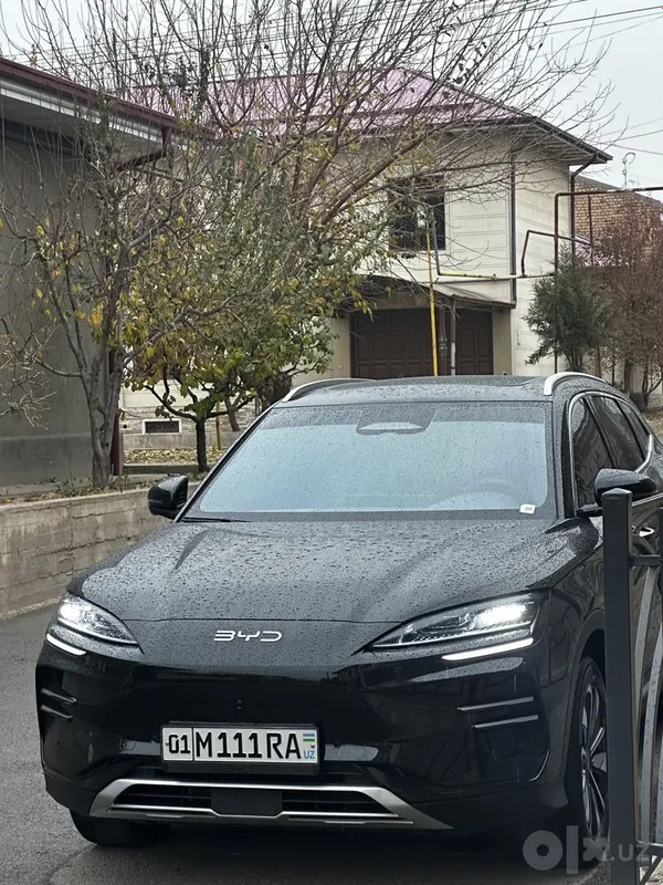 BYD Champion Smart 605 км, 2025 3 BYD Champion Smart 605 км, 2025 3