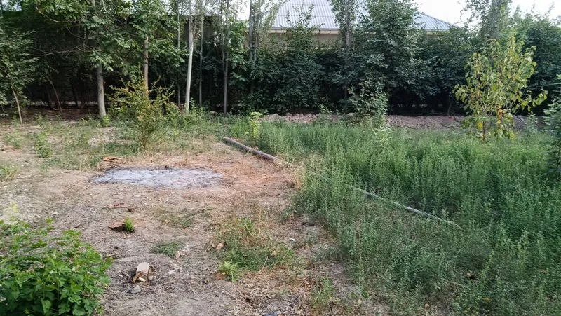 6 Sotix uchastka sotiladi 1 6 Sotix uchastka sotiladi 1