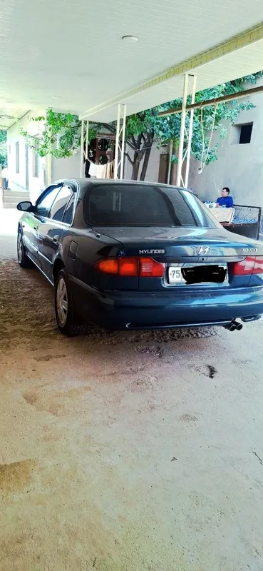 Hunday sanata 1994 y 2 Hunday sanata 1994 y 2