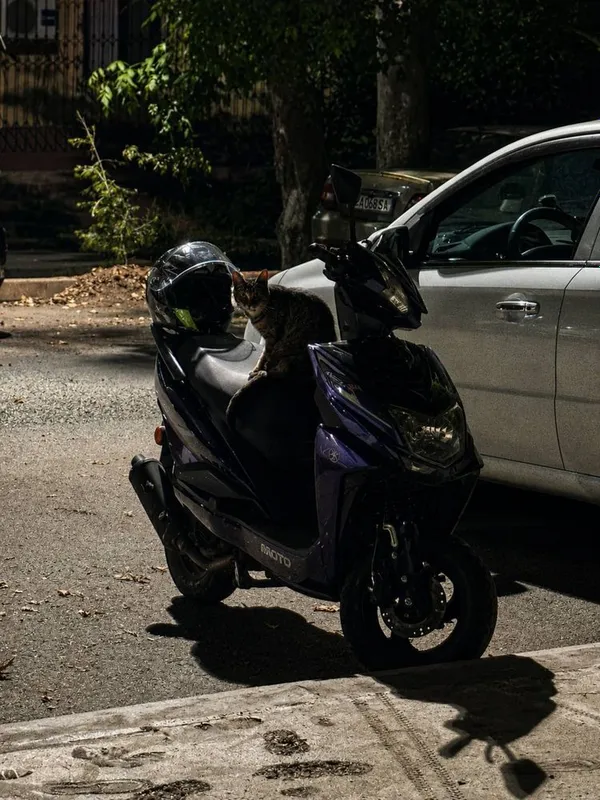 Скутор Stelmax 125 кубов 1 Скутор Stelmax 125 кубов 1