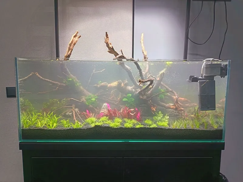 200 litrlik akvarium 4 200 litrlik akvarium 4