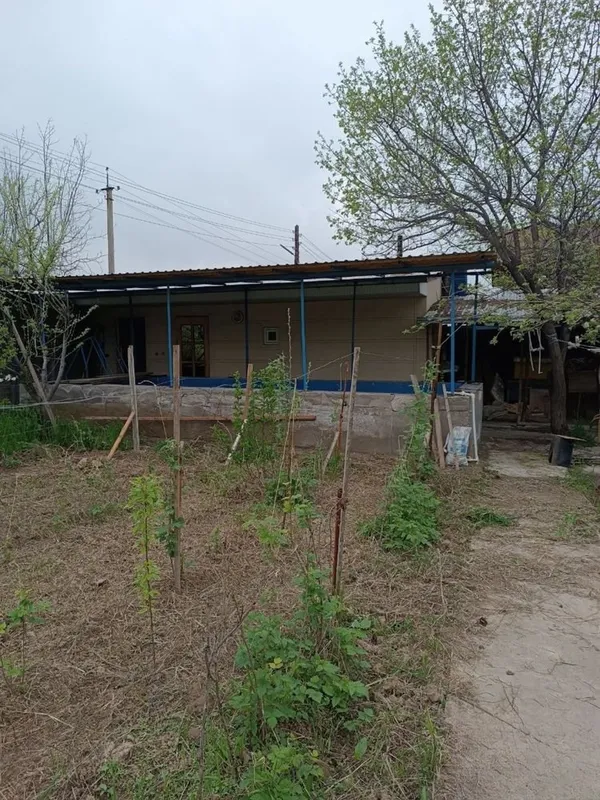 dacha krasnagorskda 8 dacha krasnagorskda 8