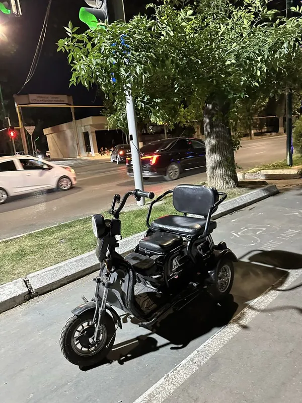 3 g‘ildirakli elektr transport vositasi — фото 1