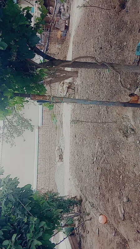 Surxandaryo viloyati Termez shaxar 1 Surxandaryo viloyati Termez shaxar 1