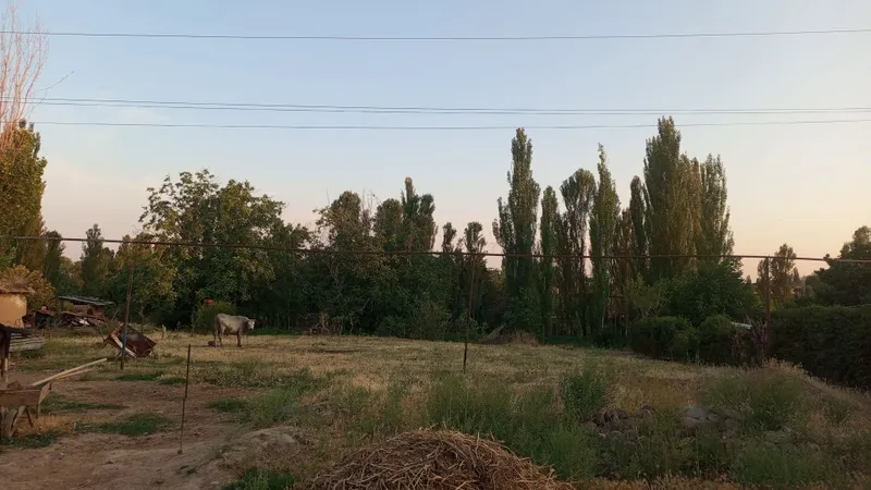 Юқори Чирчик тумани (Жамбул) махаласида yer сотилади! — фото 4