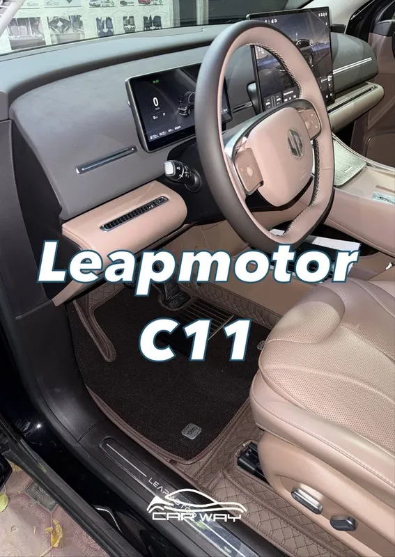 9D polik / коврики для Leapmotor C11