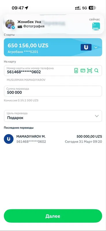 Hikol quyonlari sotiladi 2