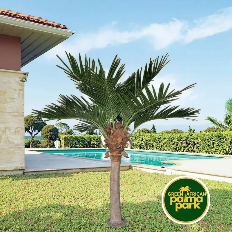 Palm darahtlar ( Suniy)