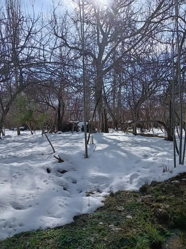 Bustonliq tumani sijjak qishlog'i yer sotiladi — фото 8