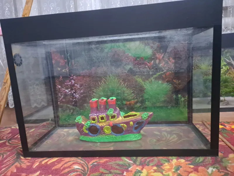 Akvarium baliq parvarishlash uchun mo'ljallangan Akvarium baliq parvarishlash uchun mo'ljallangan
