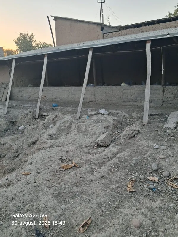 Arenda qoy va mol boqishga ferma 5
