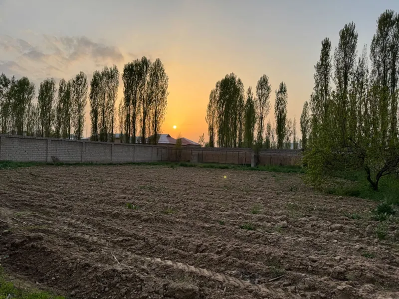 Yangiyolda 20 sotik ferma sotiladi hama sharoit bor — фото 3