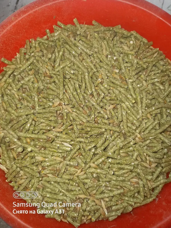 Продаётся кролчата