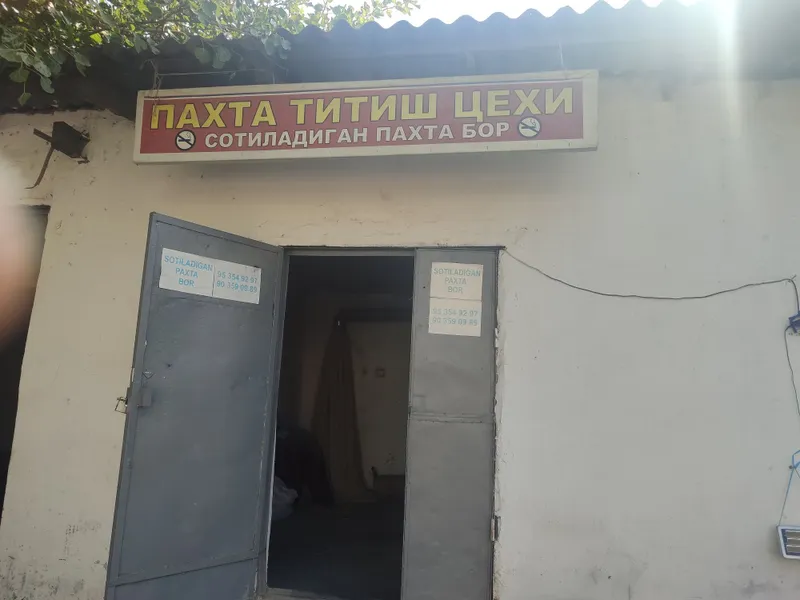 Paxta titish sexi 1-kg paxta 6000 soʻmdan Dastafka xizmat ham bor. 1