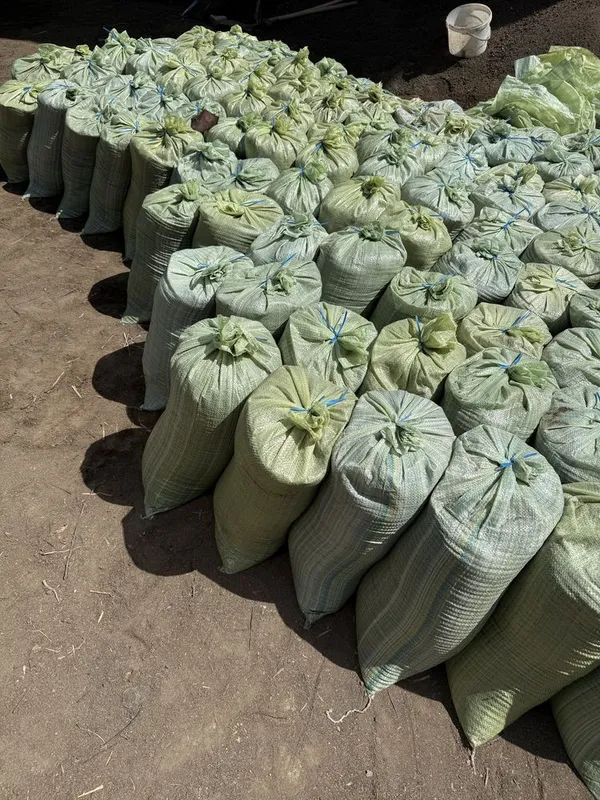 biogumus biogoms toza sifatli 18-23 kg qopta 20000 сум