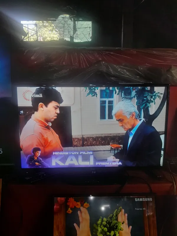 tv