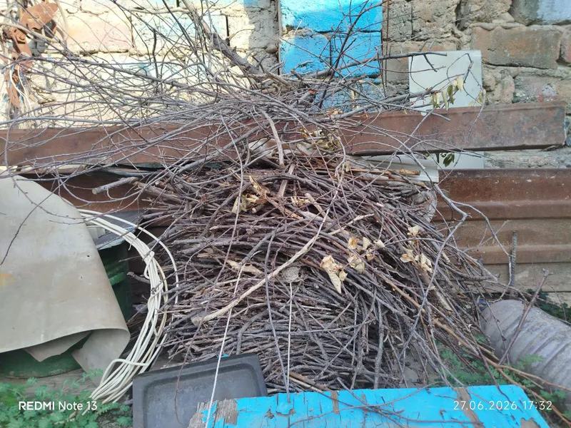 Продаю дрова готовые рубленные — фото 3