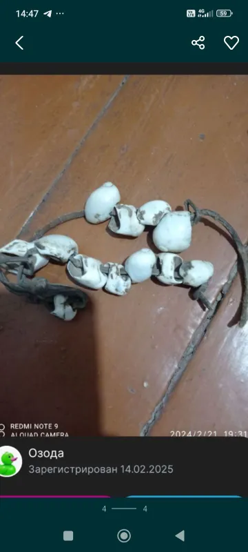Седло и снаряжение 3