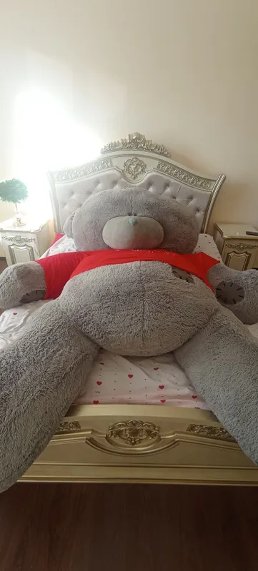 Eng katta arginal teddy ayigʻi sotiladi — фото 2