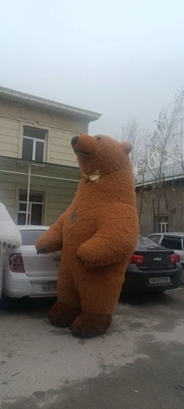 Ayiqlar Katta va kichik ayiqlar tuy va marosimlarda xizmatingizda 4 Ayiqlar Katta va kichik ayiqlar tuy va marosimlarda xizmatingizda 4