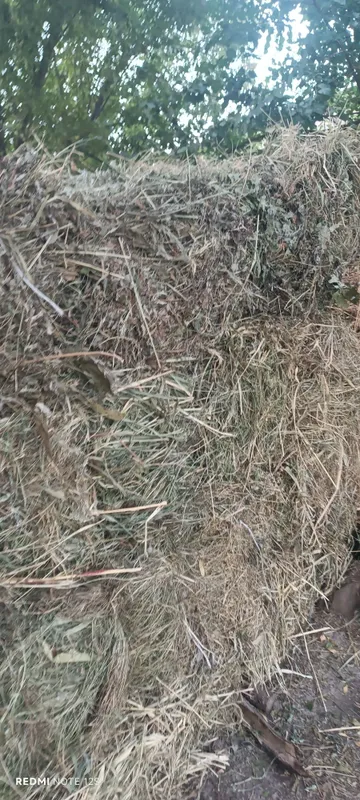 Chorva mollari uchun beda pres bor 2
