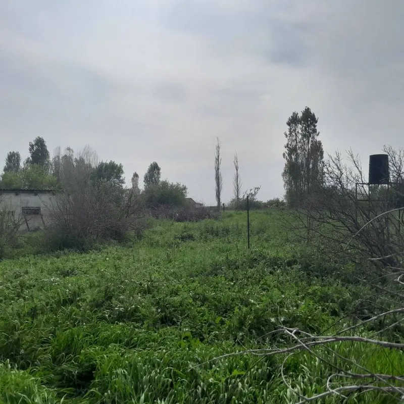 Участок пскет Uchastok piskent 6 Участок пскет Uchastok piskent 6
