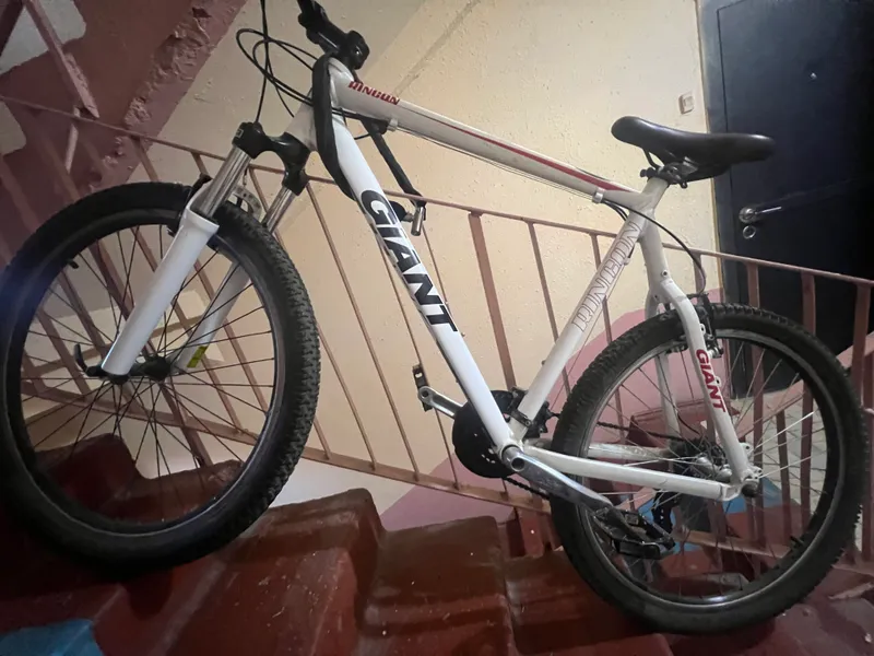 Veloseped srochna sotiladi Xolati zor baquvvat tel — фото 1
