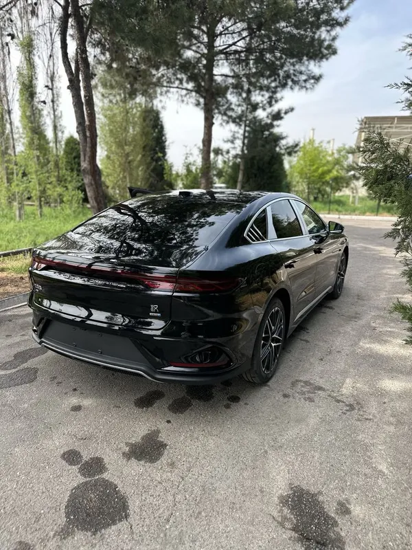 Byd han 635km qora yashil bez probeg — фото 2