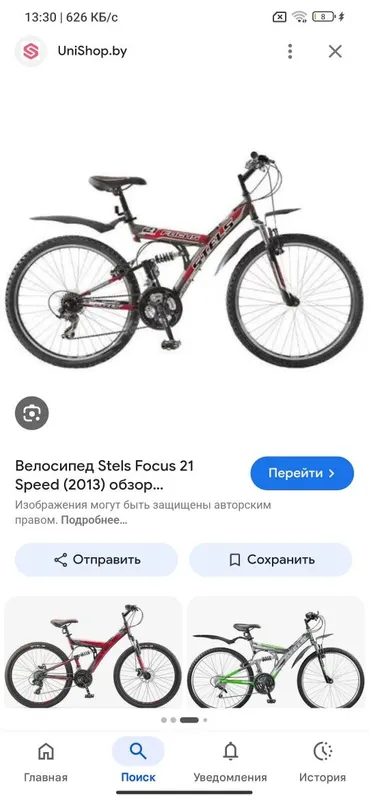 Велосипед Focus Stels 21 (2013) 3